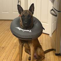 Thumbnail photo of Ruger #1