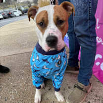 Thumbnail photo of Carter #1