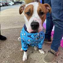 Thumbnail photo of Carter #2