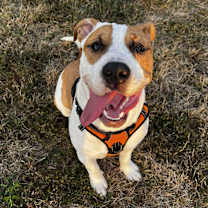 Thumbnail photo of Carter #3