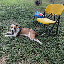 Thumbnail photo of Carter #4