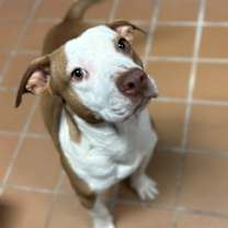 Thumbnail photo of Granger K72 12/1/25 #1