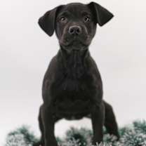 Thumbnail photo of Betty #1