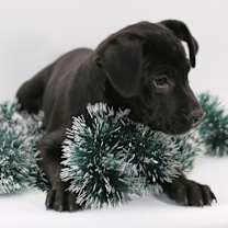 Thumbnail photo of Betty #3