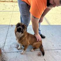 Thumbnail photo of Squirrel 25-D0561 #1