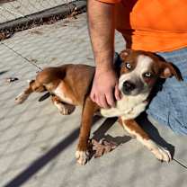 Thumbnail photo of Solara 25-D0563 #1