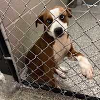 Thumbnail photo of Solara 25-D0563 #2