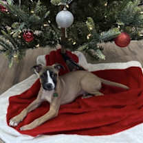 Thumbnail photo of Murphy #2