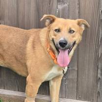 Thumbnail photo of Russell #2