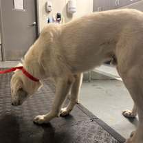 Thumbnail photo of Kai #2