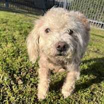 Thumbnail photo of BIM #1