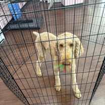 Thumbnail photo of Penny #3