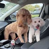 Thumbnail photo of Penny #4