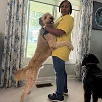 Thumbnail photo of Zues #3