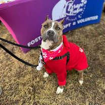 Thumbnail photo of Champagne #2