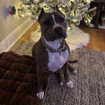 Thumbnail photo of Champagne #4