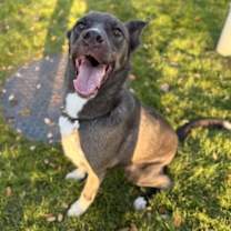 Thumbnail photo of Robert #3