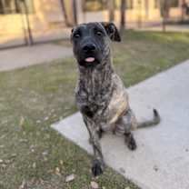 Thumbnail photo of Tabitha #2