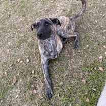 Thumbnail photo of Tabitha #3