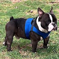 Thumbnail photo of SAM #3