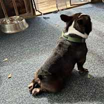 Thumbnail photo of SAM #4