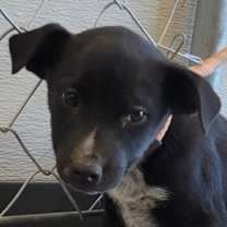 Thumbnail photo of 101724 #1