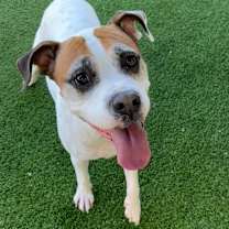 Thumbnail photo of Bella #2