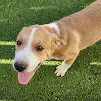 Thumbnail photo of Maddox JuM #1