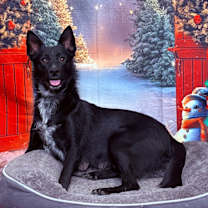 Thumbnail photo of Emma  #1