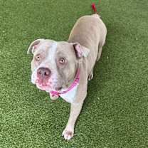 Thumbnail photo of Channing #1