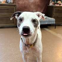 Thumbnail photo of King #2