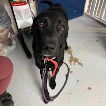 Thumbnail photo of Magnus #2