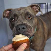 Thumbnail photo of NALA BELL #2