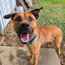 Thumbnail photo of Kringle #3