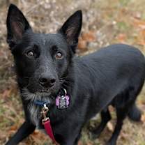 Thumbnail photo of Emma  #4