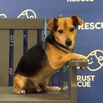 Thumbnail photo of MOBEY #1