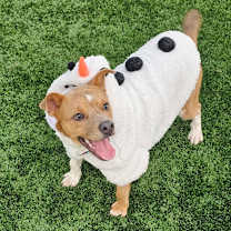 Thumbnail photo of Kesha #2