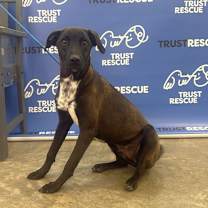 Thumbnail photo of MIPI #3