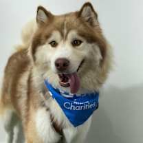 Thumbnail photo of Oso #3