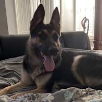 Thumbnail photo of Malibu #1