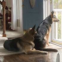 Thumbnail photo of Malibu #4