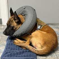 Thumbnail photo of Ruger #2