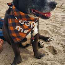 Thumbnail photo of Mickey #2