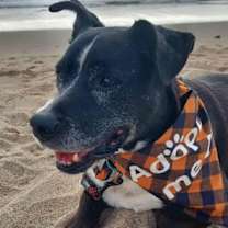 Thumbnail photo of Mickey #3