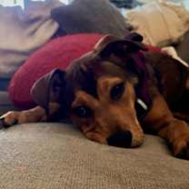 Thumbnail photo of Mavis #1