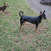 Thumbnail photo of Lucy #1