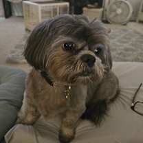 Thumbnail photo of Gracie Marie #1