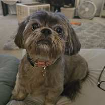 Thumbnail photo of Gracie Marie #2