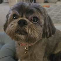 Thumbnail photo of Gracie Marie #3