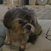 Thumbnail photo of Gracie Marie #4